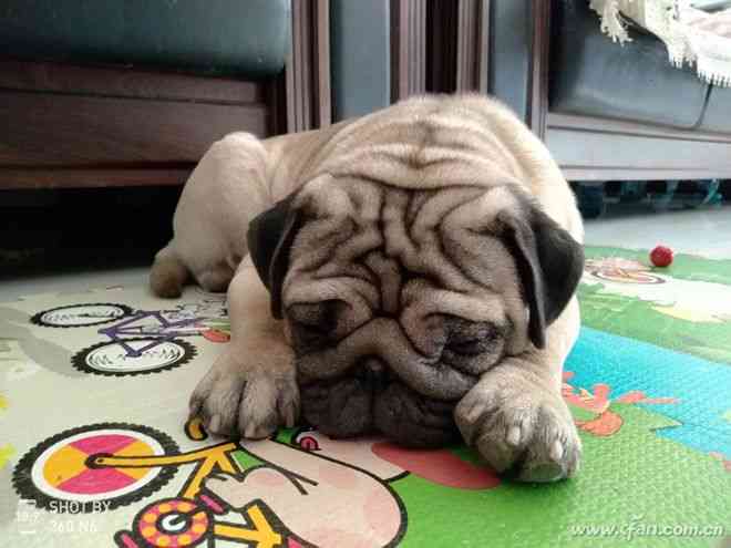 360手机N6全面评测：骁龙630处理器与5000mAh电池的续航表现