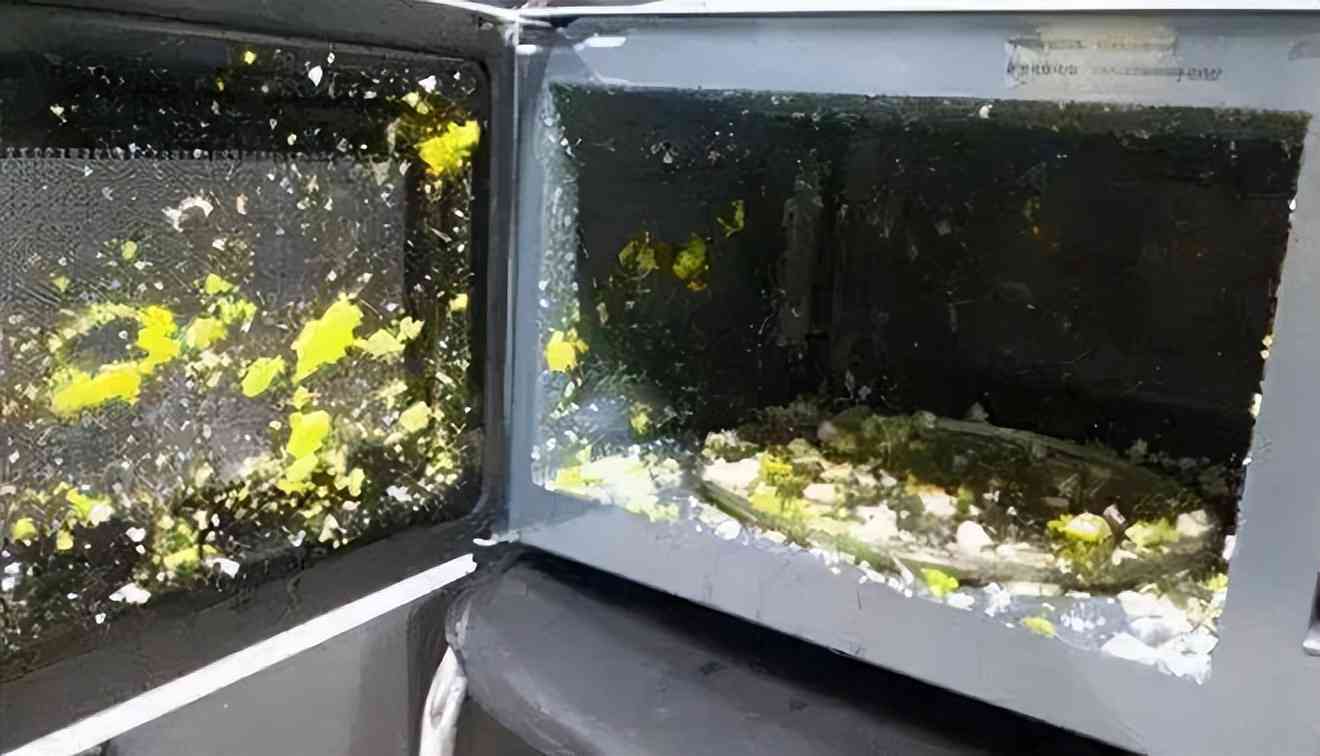 格兰仕微波炉怎么样？微波炉哪个牌子好用质量好？2023最建议买的三个品牌口碑公认