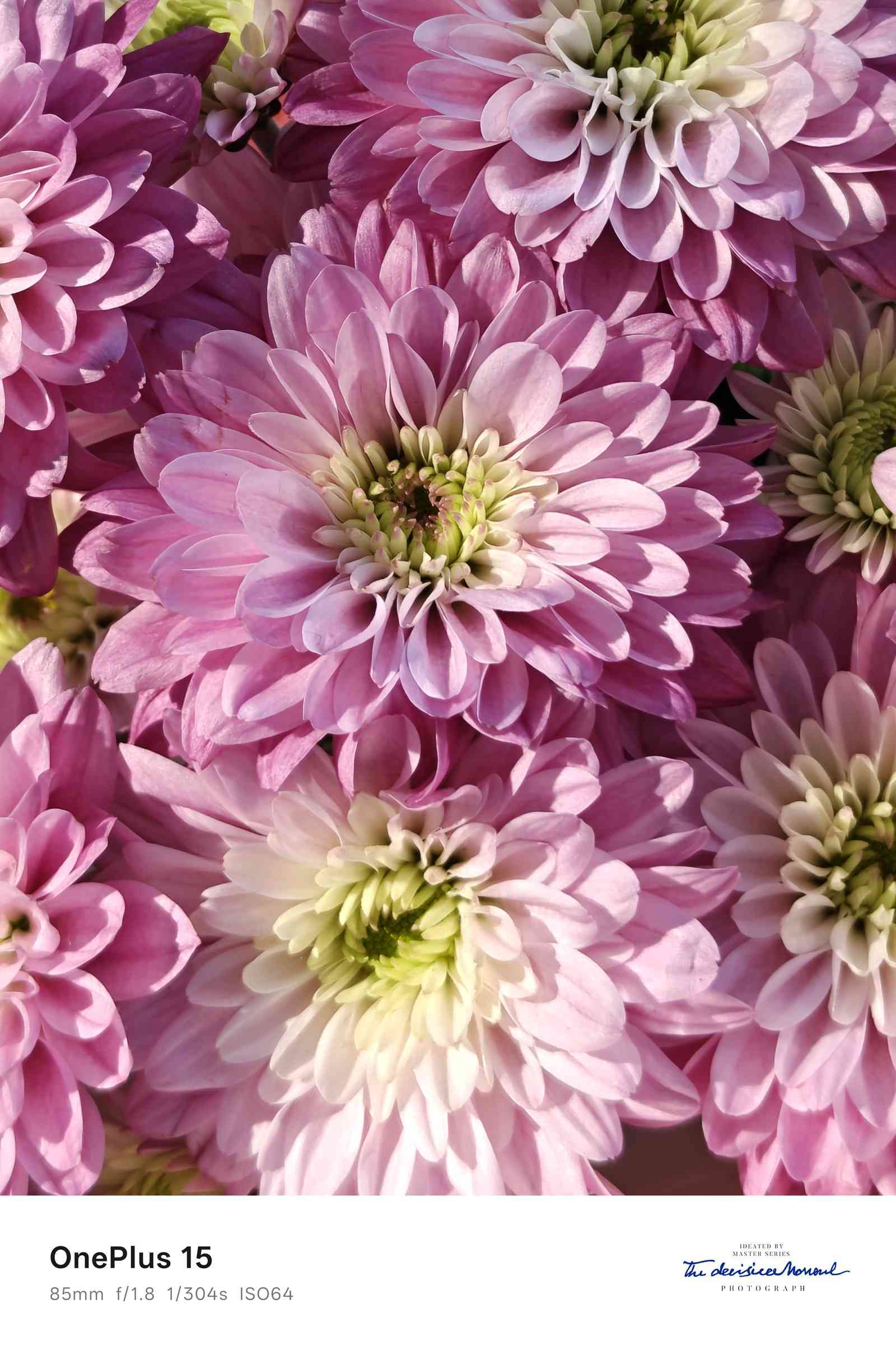 一加手机质量怎么样 一加15评测：性能超Ultra，极致流畅不留短板