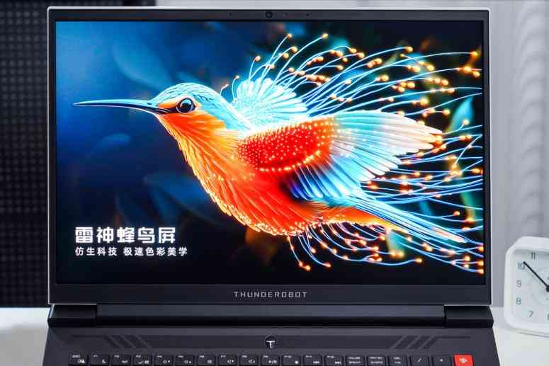 雷神ZERO 2024蜂鸟护眼屏版深度评测：视觉与性能的巅峰之作