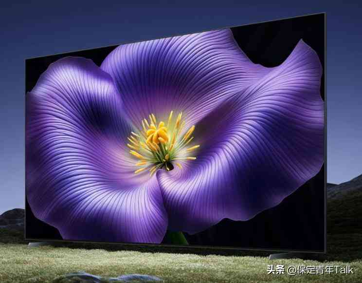 小米电视质量全面评测与国产电视品牌选购指南