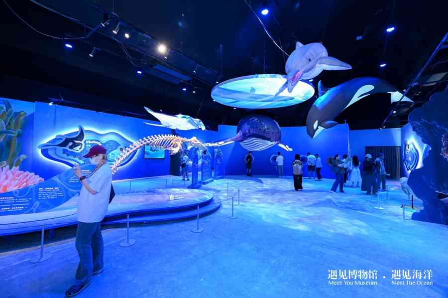 揭秘美人鱼真容：沉浸式展览开启亿年海洋探秘之旅