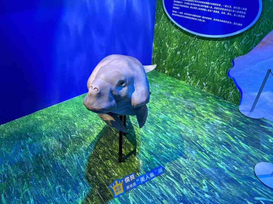 揭秘美人鱼真容：沉浸式展览开启亿年海洋探秘之旅
