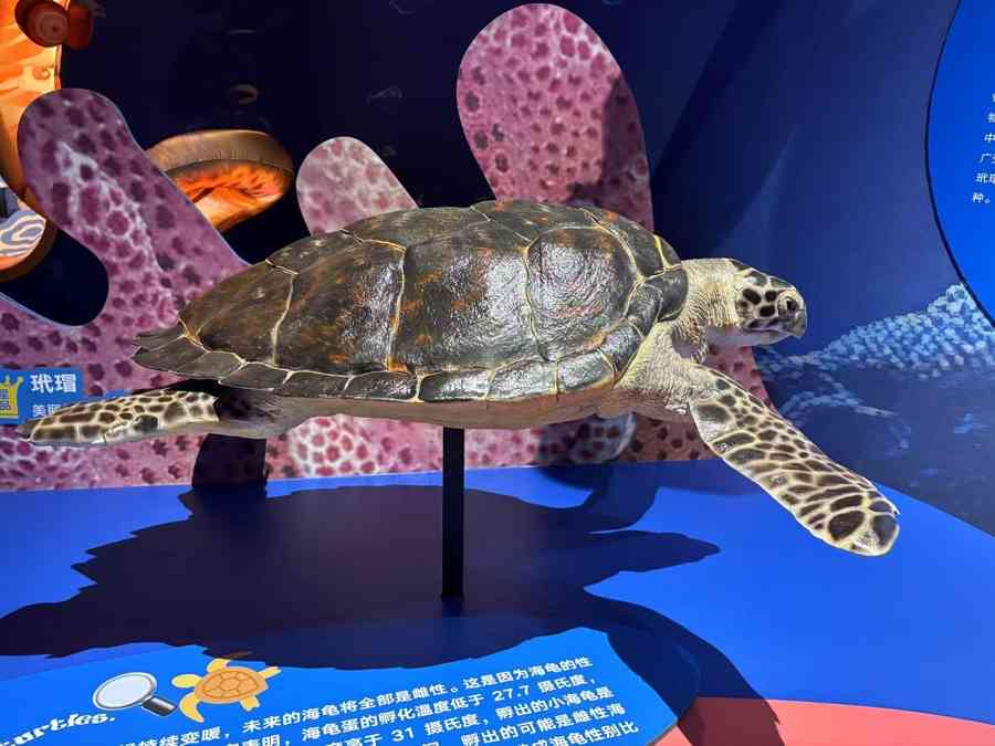 揭秘美人鱼真容：沉浸式展览开启亿年海洋探秘之旅