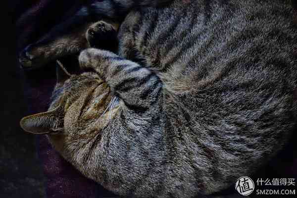 索尼RX100怎么样？也谈谈自己使用的SONY索尼DSC-RX100黑卡数码相机