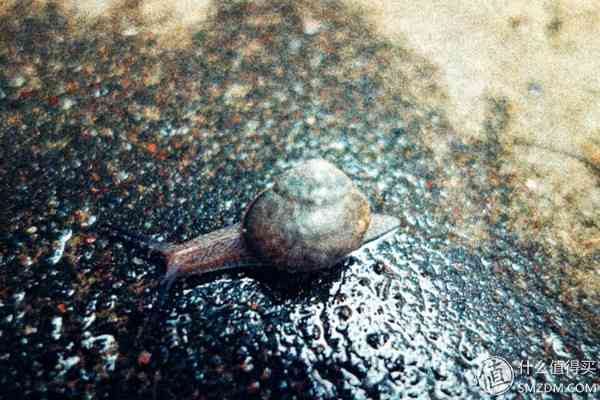 索尼RX100怎么样？也谈谈自己使用的SONY索尼DSC-RX100黑卡数码相机